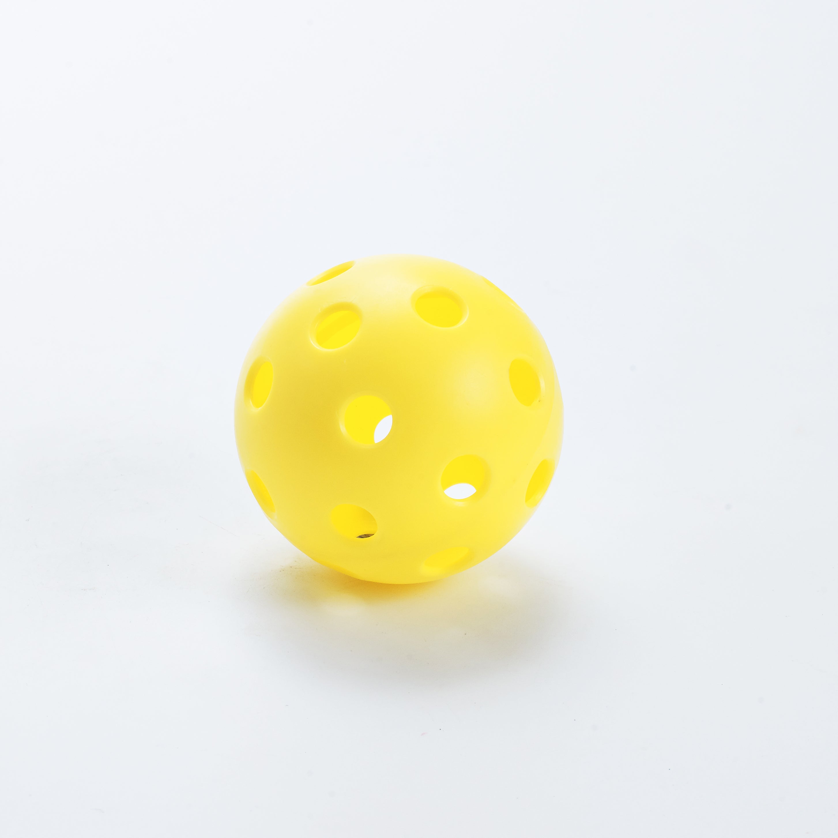 ARTI Indoor Pickleball